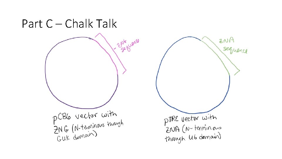 Part C – Chalk Talk 