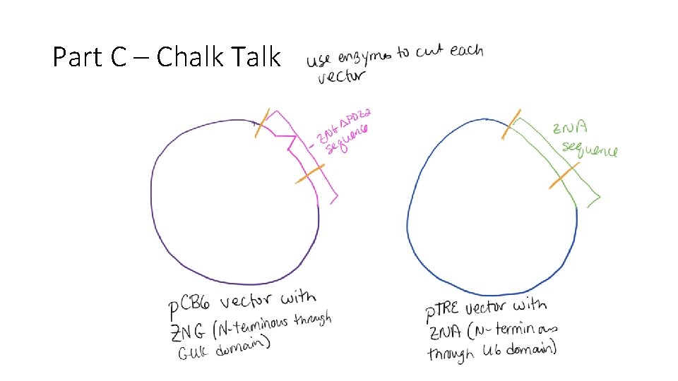 Part C – Chalk Talk 