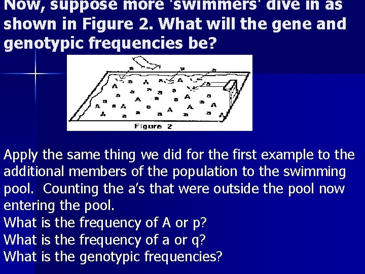 Now, suppose more 'swimmers' dive in as shown in Figure 2. What will the