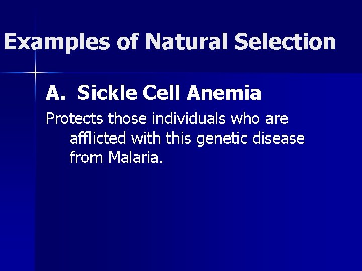 Examples of Natural Selection A. Sickle Cell Anemia Protects those individuals who are afflicted