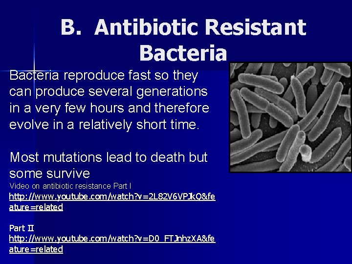 B. Antibiotic Resistant Bacteria reproduce fast so they can produce several generations in a