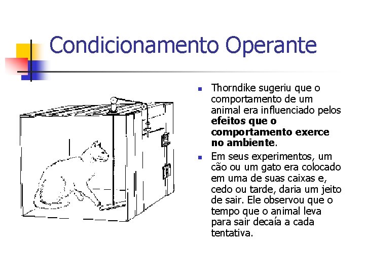 Condicionamento Operante n n Thorndike sugeriu que o comportamento de um animal era influenciado