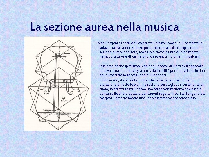 La sezione aurea nella musica Negli organi di corti dell'apparato uditivo umano, cui compete