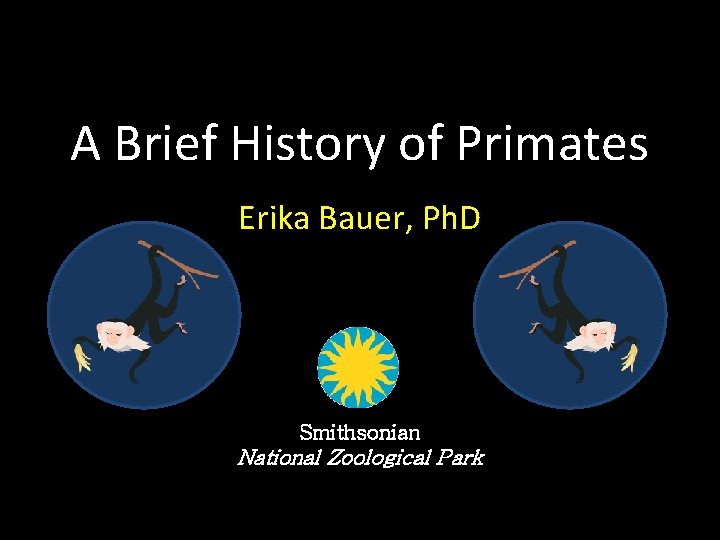 A Brief History of Primates Erika Bauer, Ph. D Smithsonian National Zoological Park 