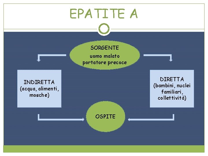 EPATITE A SORGENTE uomo malato portatore precoce DIRETTA (bambini, nuclei familiari, collettività) INDIRETTA (acqua,