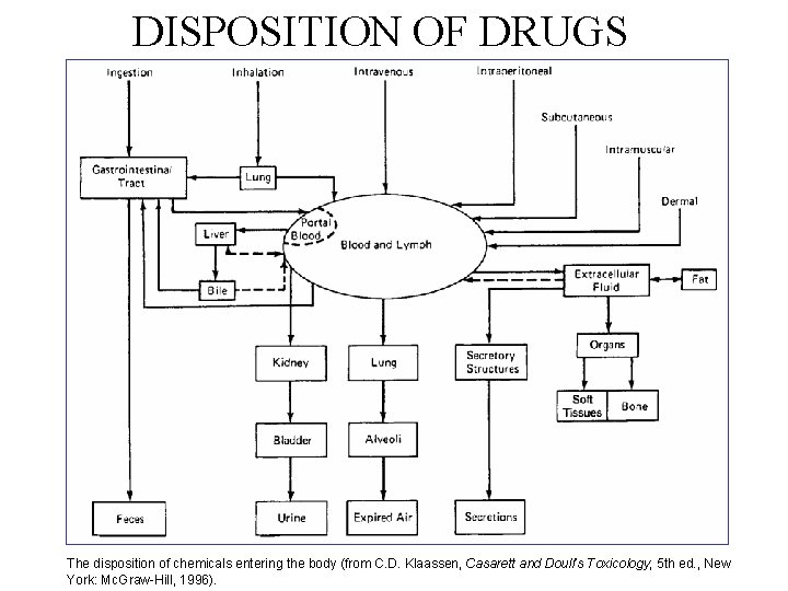 DISPOSITION OF DRUGS The disposition of chemicals entering the body (from C. D. Klaassen,