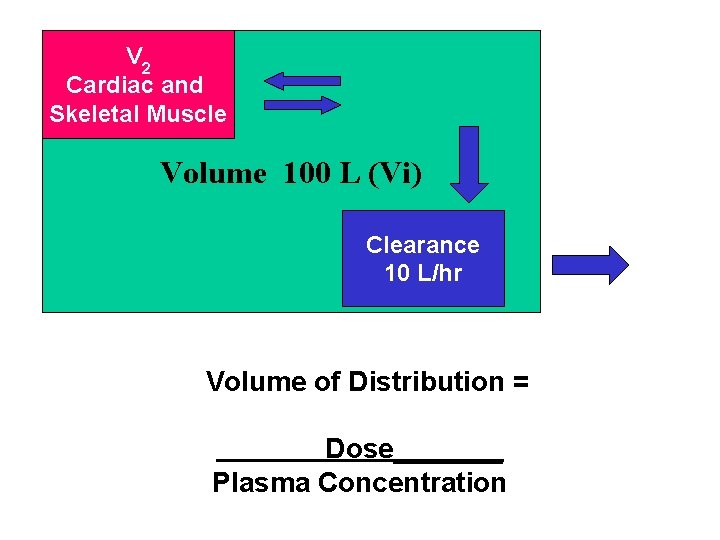 V 2 Cardiac and Skeletal Muscle V Volume 100 L (Vi) Clearance 10 L/hr
