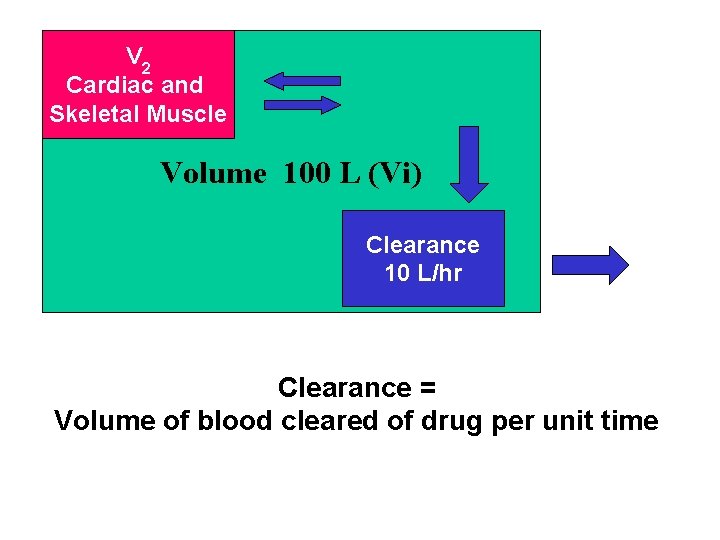 V 2 Cardiac and Skeletal Muscle V Volume 100 L (Vi) Clearance 10 L/hr