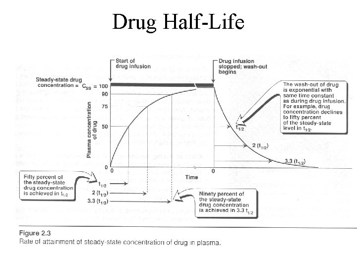 Drug Half-Life 
