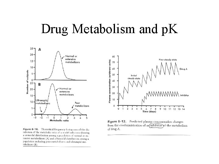 Drug Metabolism and p. K 