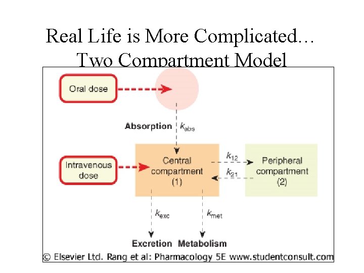 Real Life is More Complicated… Two Compartment Model 