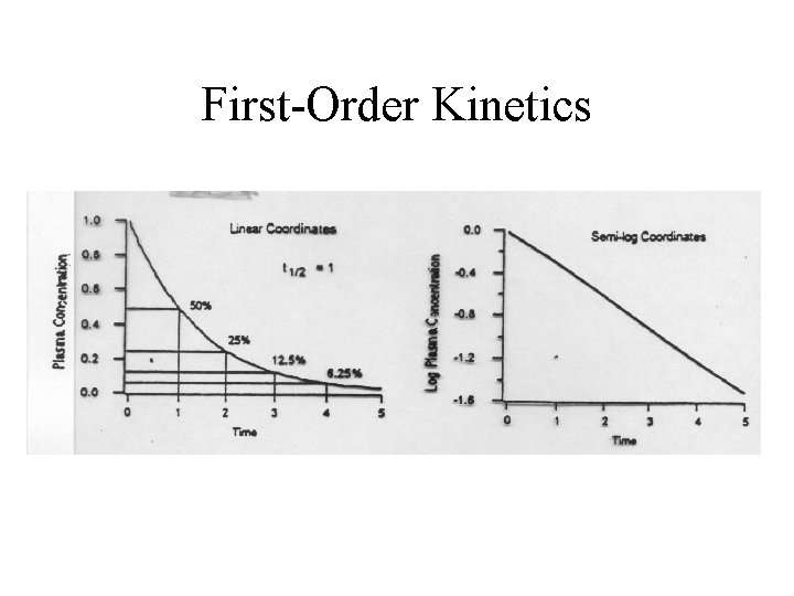 First-Order Kinetics 