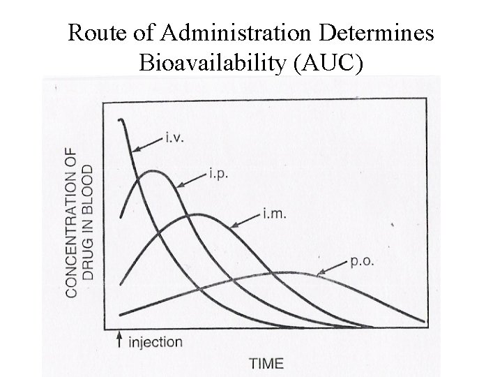 Route of Administration Determines Bioavailability (AUC) 