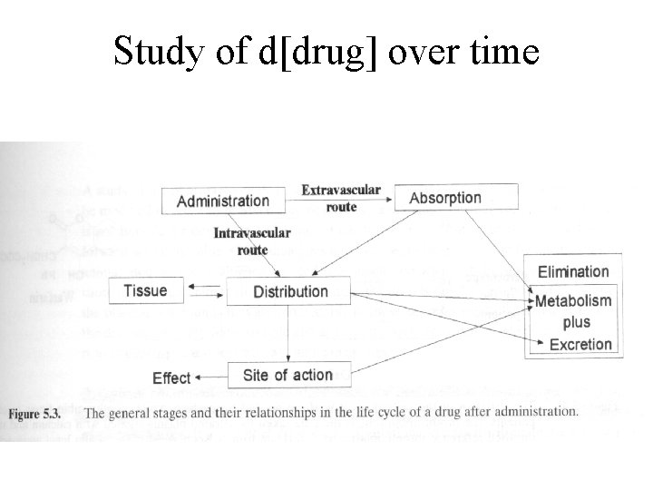 Study of d[drug] over time 
