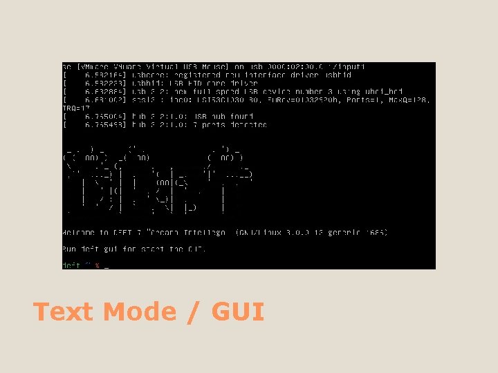 Text Mode / GUI 