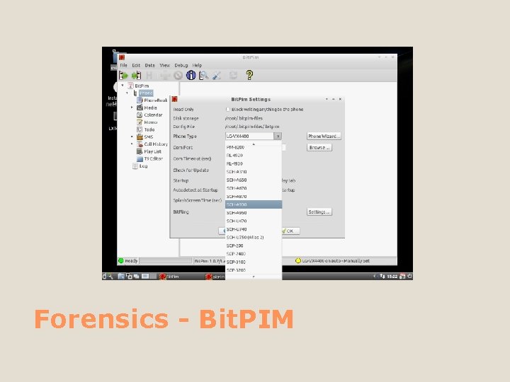 Forensics - Bit. PIM 