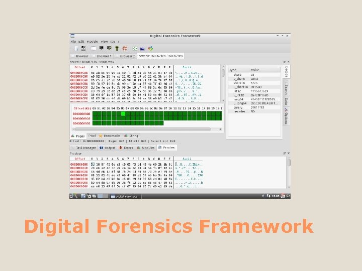 Digital Forensics Framework 