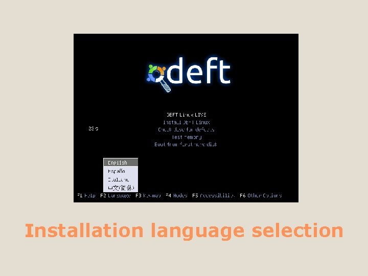 Installation language selection 