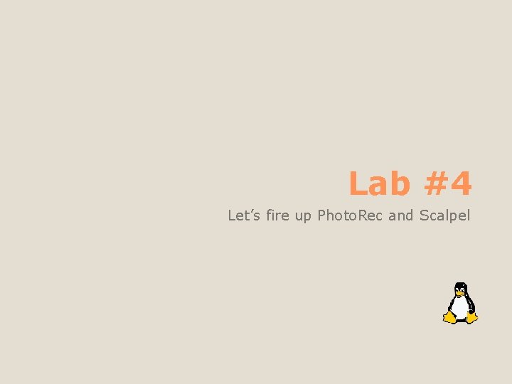 Lab #4 Let’s fire up Photo. Rec and Scalpel 
