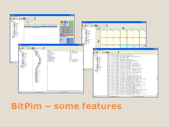 Bit. Pim – some features 