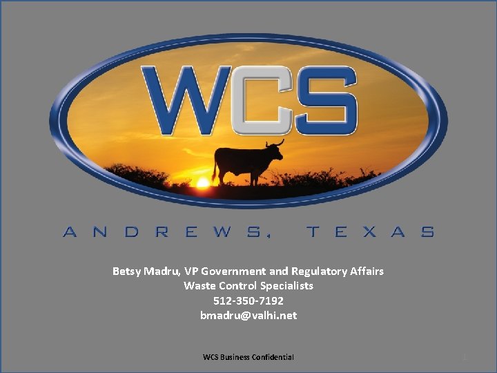 Betsy Madru, VP Government and Regulatory Affairs Waste Control Specialists 512 -350 -7192 bmadru@valhi.