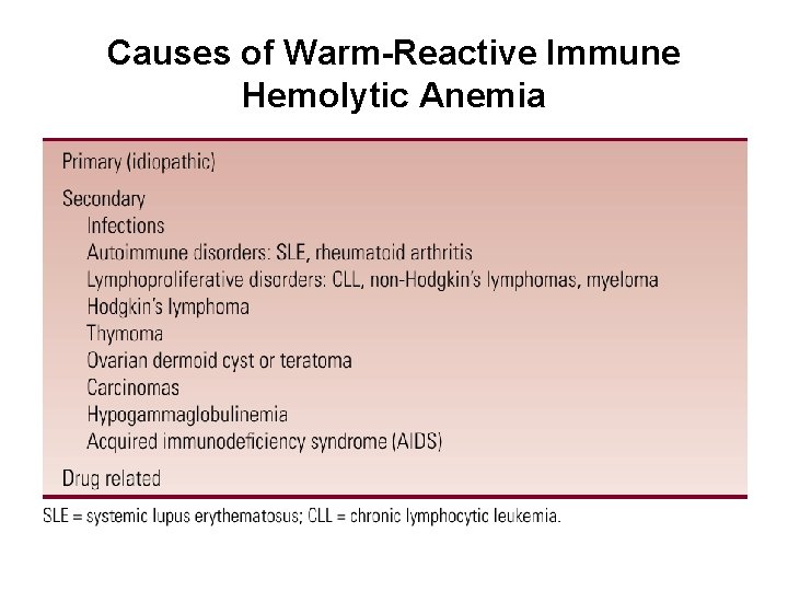 Causes of Warm-Reactive Immune Hemolytic Anemia 