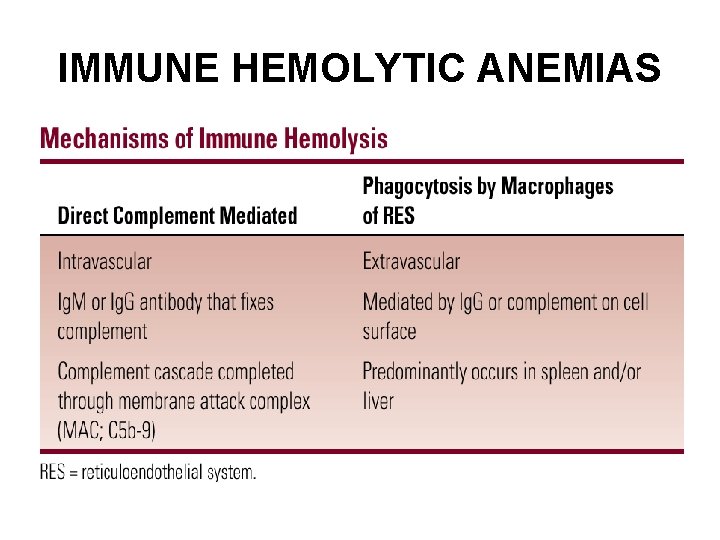 IMMUNE HEMOLYTIC ANEMIAS 