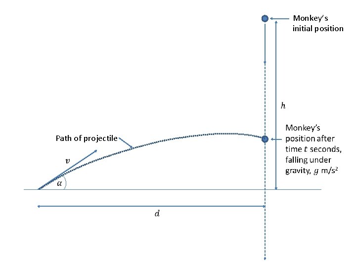 Monkey’s initial position Path of projectile 