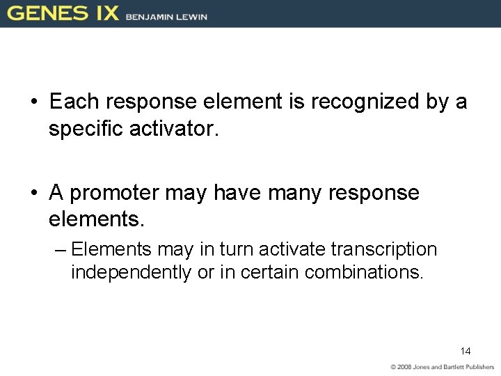  • Each response element is recognized by a specific activator. • A promoter