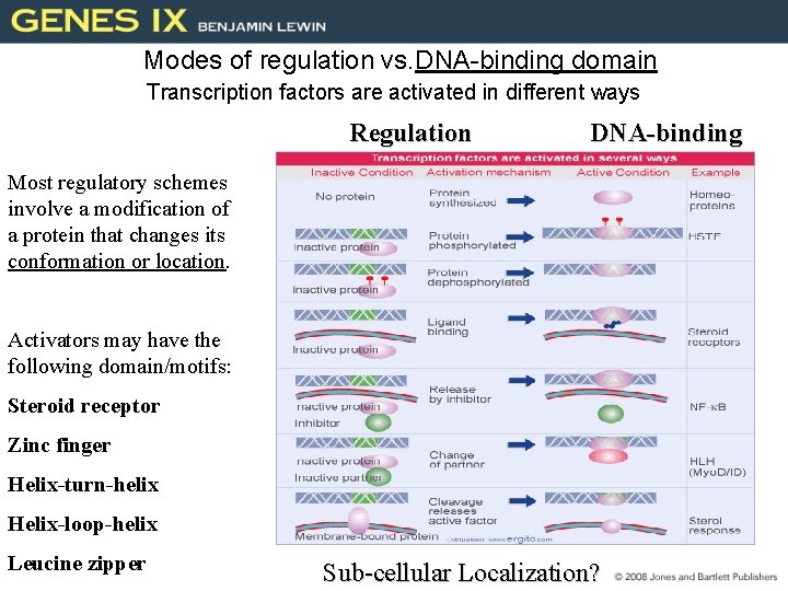 Modes of regulation vs. DNA-binding domain Transcription factors are activated in different ways Regulation