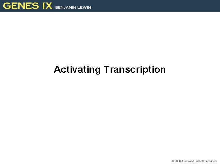 Activating Transcription 