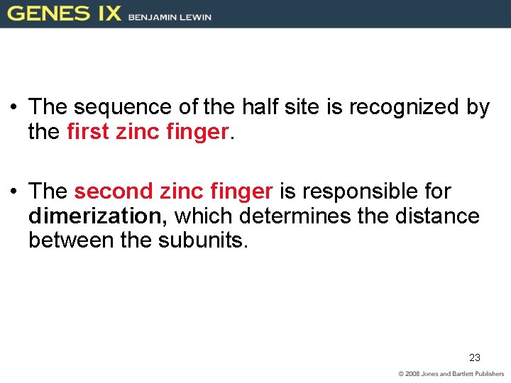  • The sequence of the half site is recognized by the first zinc