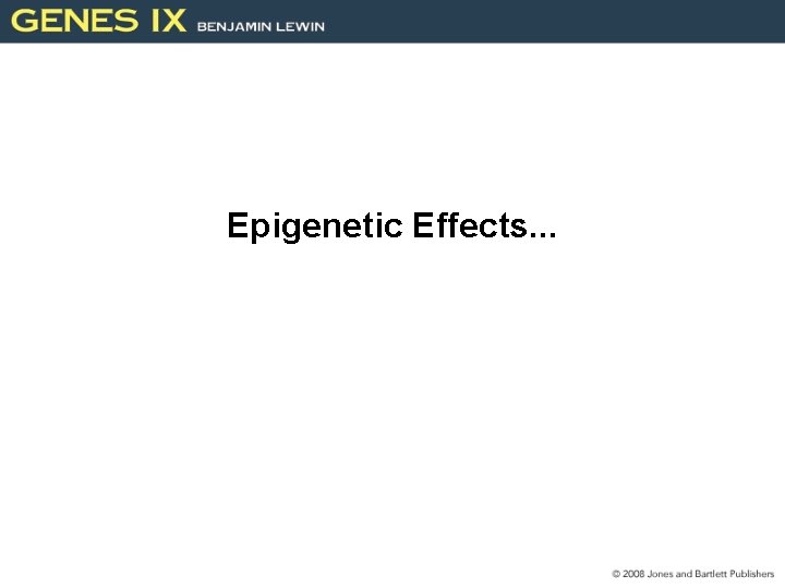 Epigenetic Effects. . . 