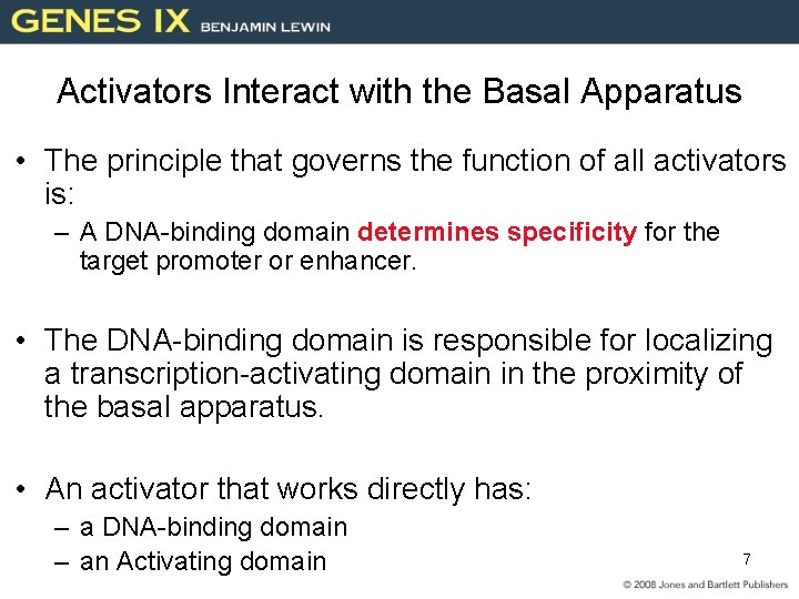 Activators Interact with the Basal Apparatus • The principle that governs the function of