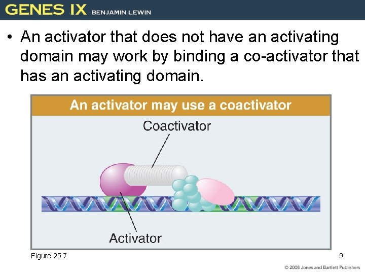  • An activator that does not have an activating domain may work by
