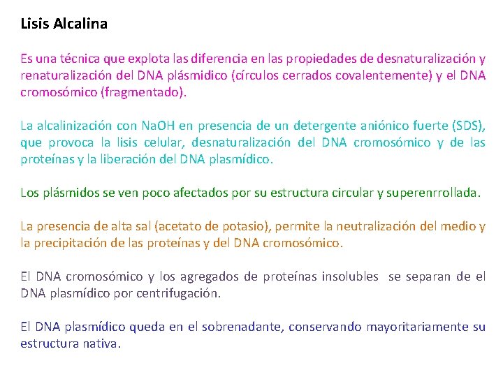 Lisis Alcalina Es una técnica que explota las diferencia en las propiedades de desnaturalización