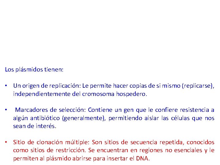 Los plásmidos tienen: • Un origen de replicación: Le permite hacer copias de si