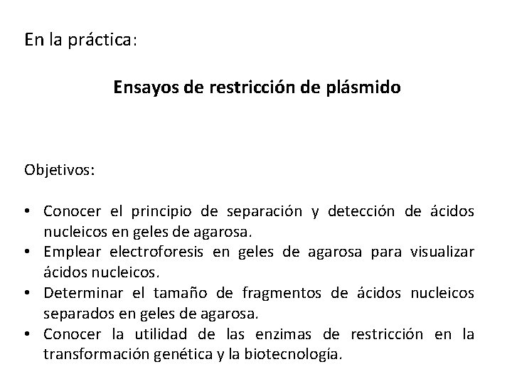 En la práctica: Ensayos de restricción de plásmido Objetivos: • Conocer el principio de