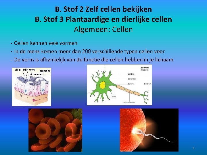 B. Stof 2 Zelf cellen bekijken B. Stof 3 Plantaardige en dierlijke cellen Algemeen: