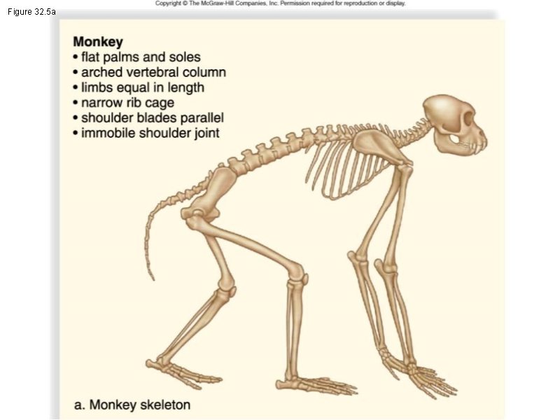 Figure 32. 5 a 