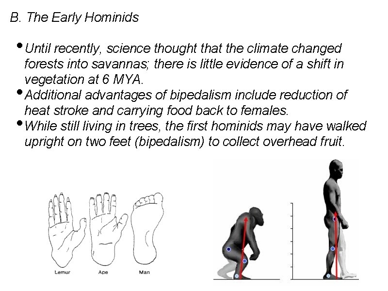 B. The Early Hominids • Until recently, science thought that the climate changed •