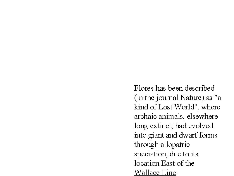 Flores has been described (in the journal Nature) as "a kind of Lost World",