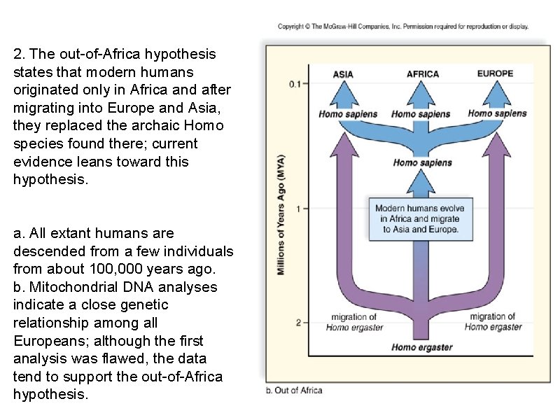 2. The out-of-Africa hypothesis states that modern humans originated only in Africa and after