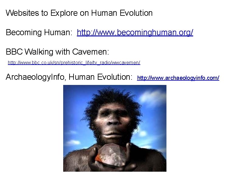 Websites to Explore on Human Evolution Becoming Human: http: //www. becominghuman. org/ BBC Walking