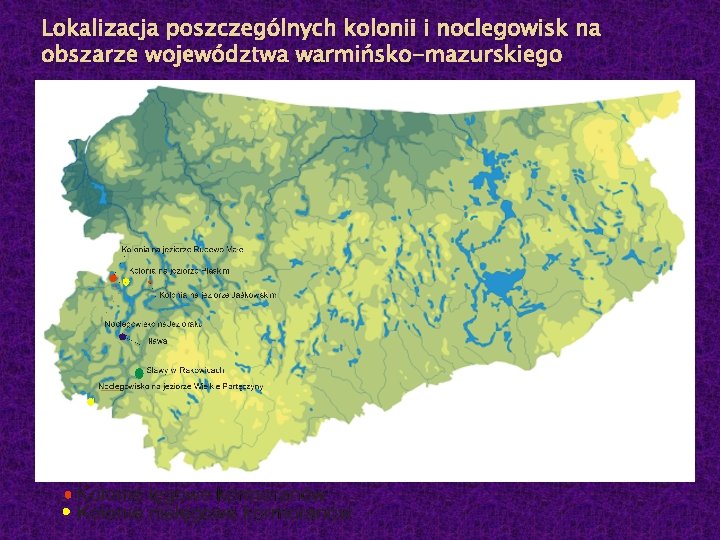 Lokalizacja poszczególnych kolonii i noclegowisk na obszarze województwa warmińsko-mazurskiego 