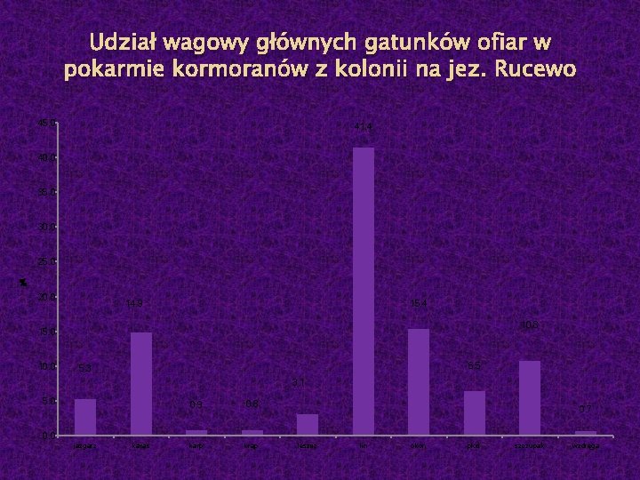 Udział wagowy głównych gatunków ofiar w pokarmie kormoranów z kolonii na jez. Rucewo 45.