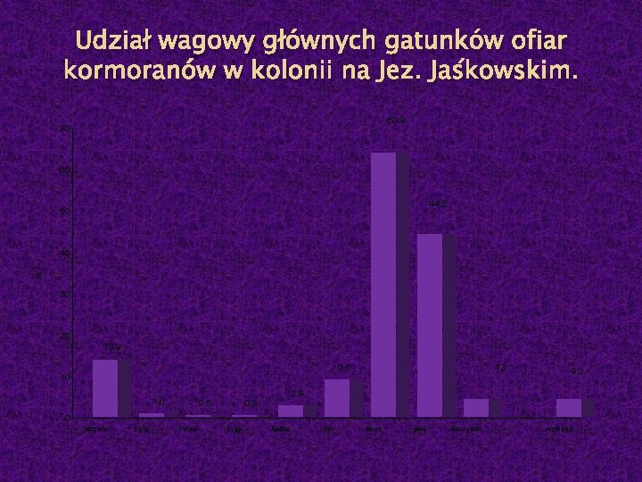 Udział wagowy głównych gatunków ofiar kormoranów w kolonii na Jez. Jaśkowskim. 63. 9 70