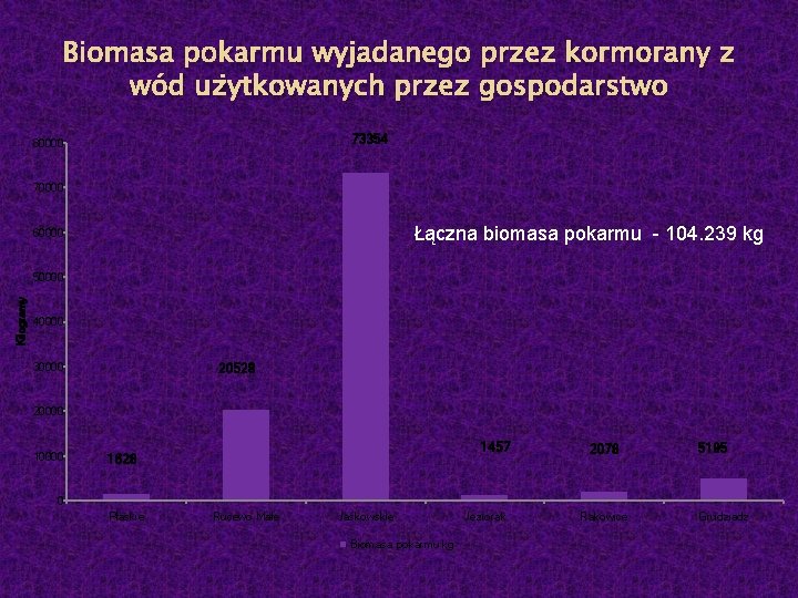 Biomasa pokarmu wyjadanego przez kormorany z wód użytkowanych przez gospodarstwo 73354 80000 70000 Łączna