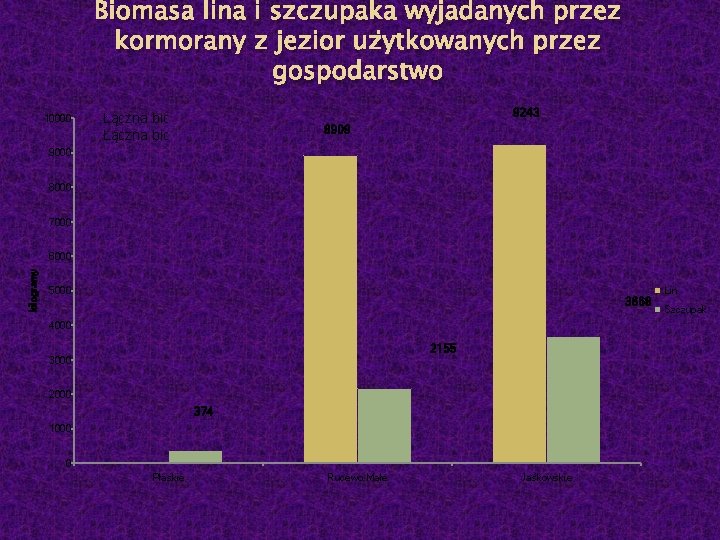 Biomasa lina i szczupaka wyjadanych przez kormorany z jezior użytkowanych przez gospodarstwo 10000 9243