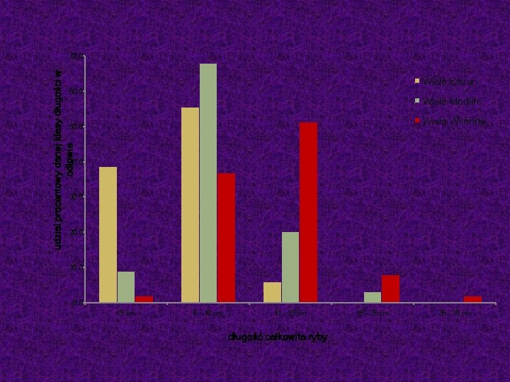udzial procentowy danej klasy długości w odłowie 70. 0 Wisła Kazuń 60. 0 Wisła